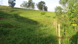 Projeto Proveráguas Jacutinga aplica técnicas de restauração florestal em 48 hectares de APP (1)