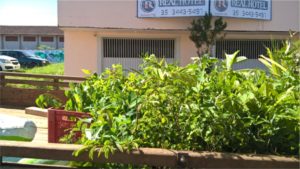 Projeto Proveráguas Jacutinga aplica técnicas de restauração florestal em 48 hectares de APP (12)