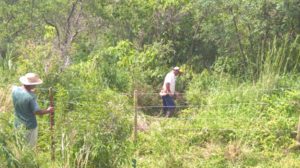 Projeto Proveráguas Jacutinga aplica técnicas de restauração florestal em 48 hectares de APP (13)