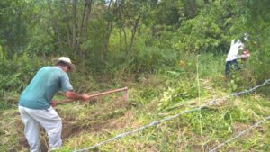 Projeto Proveráguas Jacutinga aplica técnicas de restauração florestal em 48 hectares de APP (14)