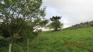 Projeto Proveráguas Jacutinga aplica técnicas de restauração florestal em 48 hectares de APP (2)