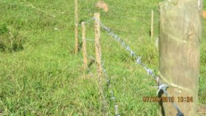 Projeto Proveráguas Jacutinga aplica técnicas de restauração florestal em 48 hectares de APP (3)
