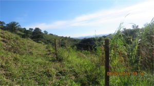 Projeto Proveráguas Jacutinga aplica técnicas de restauração florestal em 48 hectares de APP (6)