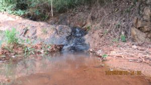 Projeto Proveráguas Jacutinga aplica técnicas de restauração florestal em 48 hectares de APP (9)