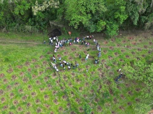 Acoes-socioambientais-em-Inconfidentes-6